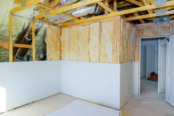 Best Insulation Removal Services  in Frewsburg, NY