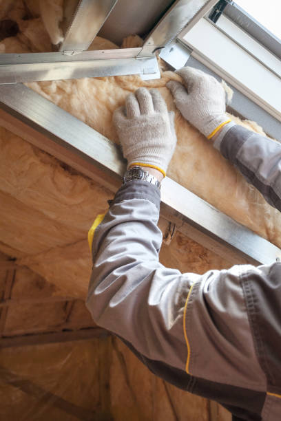 Best Insulation Contractor Near Me  in Frewsburg, NY