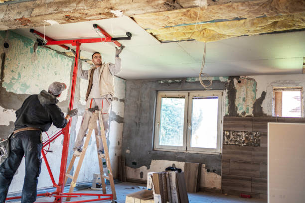Best Blown-in Insulation  in Frewsburg, NY