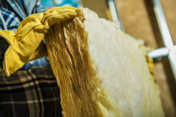 Best Insulation Contractors for Homes  in Frewsburg, NY