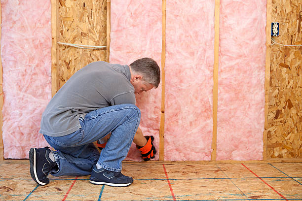 Best Commercial Insulation Contractor  in Frewsburg, NY