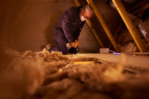 Best Local Insulation Services  in Frewsburg, NY