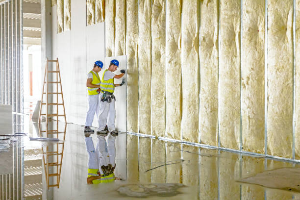 Best Insulation Inspection Services  in Frewsburg, NY